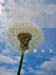 逾期后怎样和律师沟通 逾期后怎样和律师沟通