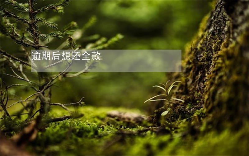 逾期后想还全款