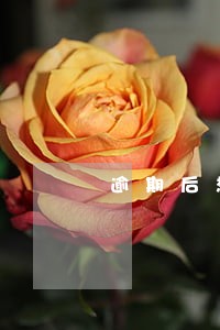 逾期后想还款怎么办 逾期后想还款怎么办