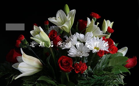 逾期后所有平台秒拒 逾期后所有平台秒拒