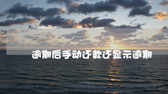 逾期后手动还款还显示逾期 逾期后手动还款还显示逾期
