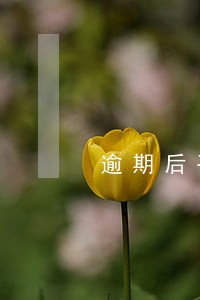 逾期后手机app是否需要删 逾期后手机app是否需要删