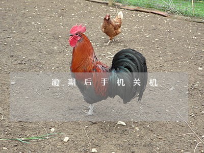 逾期后手机关机 逾期后手机关机