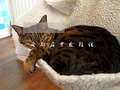 逾期后才发短信 逾期后才发短信