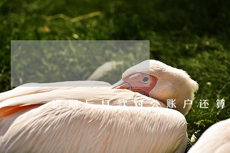 逾期后打款对公账户还算逾期吗 逾期后打款对公账户还算逾期吗