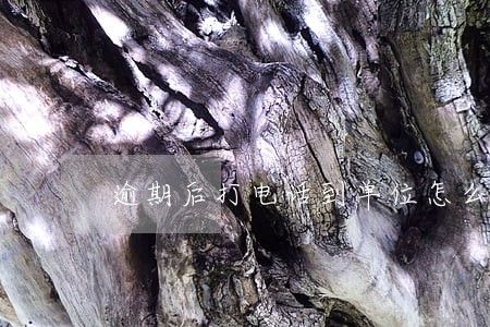 逾期后打电话到单位怎么办