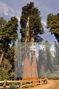 逾期后打电话到村委犯法吗 逾期后打电话到村委犯法吗