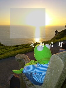 逾期后打电话很烦