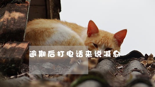 逾期后打电话来说减息 逾期后打电话来说减息