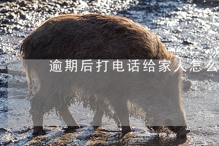 逾期后打电话给家人怎么投诉 逾期后打电话给家人怎么投诉