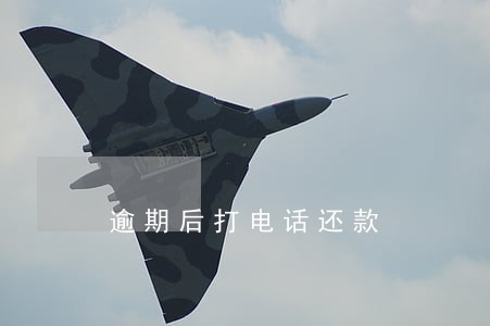逾期后打电话还款 逾期后打电话还款