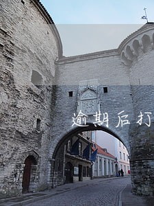 逾期后打电话还款怎么说 逾期后打电话还款怎么说