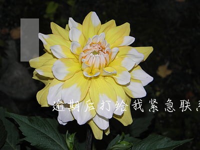 逾期后打给我紧急联系人嘛 逾期后打给我紧急联系人嘛