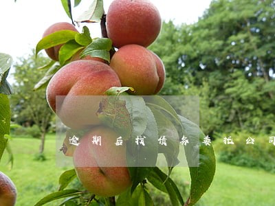 逾期后找债务委托公司靠谱吗 逾期后找债务委托公司靠谱吗