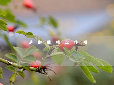 逾期后找工作难 逾期后找工作难