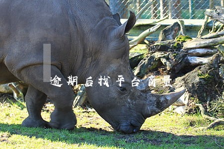 逾期后找平台商量 逾期后找平台商量