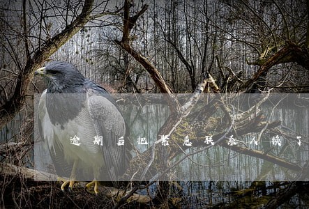 逾期后把紧急联系人换了 逾期后把紧急联系人换了
