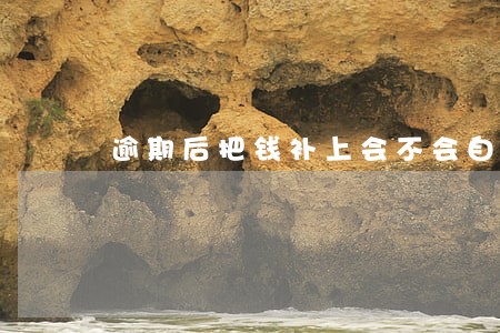 逾期后把钱补上会不会自动扣 逾期后把钱补上会不会自动扣