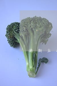 逾期后投诉渠道有哪些