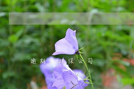 逾期后担保公司 逾期后担保公司