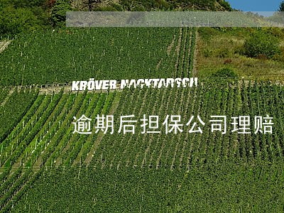 逾期后担保公司理赔 逾期后担保公司理赔