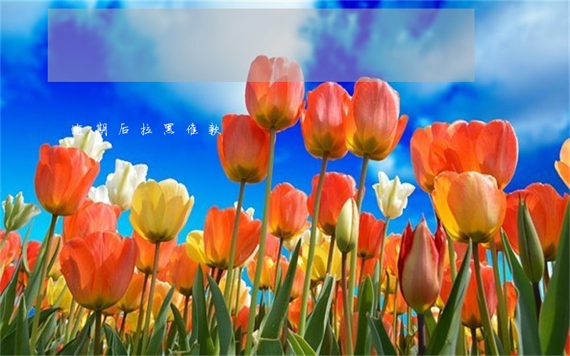 逾期后拉黑催款 逾期后拉黑催款
