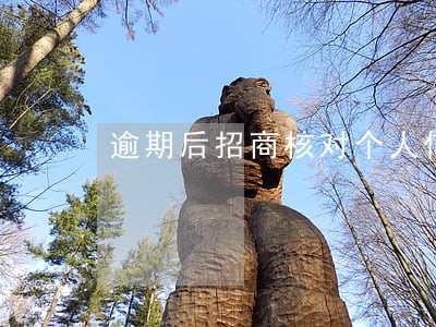 逾期后招商核对个人信息 逾期后招商核对个人信息