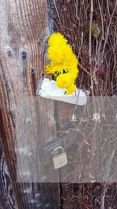 逾期后招联额度为零 逾期后招联额度为零
