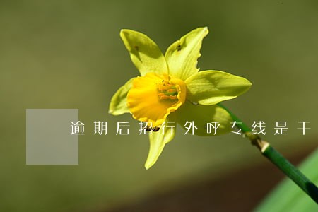 逾期后招行外呼专线是干嘛的 逾期后招行外呼专线是干嘛的