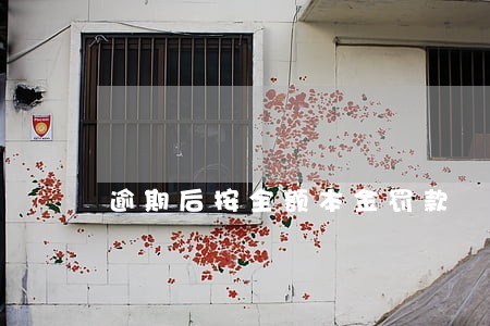 逾期后按全额本金罚款 逾期后按全额本金罚款