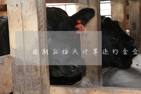 逾期后按天计算违约金合理吗 逾期后按天计算违约金合理吗