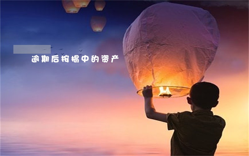 逾期后按揭中的资产 逾期后按揭中的资产