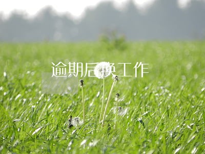 逾期后换工作 逾期后换工作