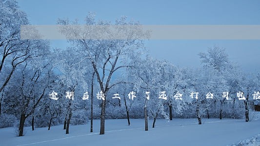 逾期后换工作了还会打公司电话吗 逾期后换工作了还会打公司电话吗