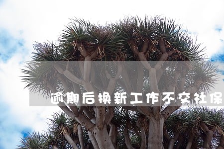 逾期后换新工作不交社保 逾期后换新工作不交社保