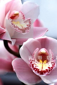 逾期后接到社区电话 逾期后接到社区电话