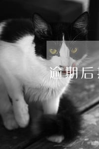 逾期后接电话吗怎么快速接听 逾期后接电话吗怎么快速接听