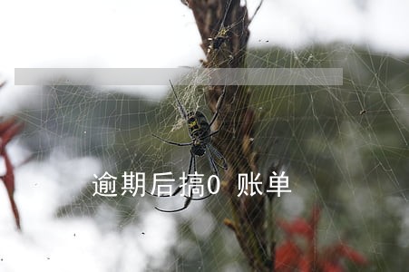 逾期后搞0账单 逾期后搞0账单