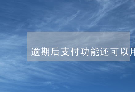 逾期后支付功能还可以用吗 逾期后支付功能还可以用吗