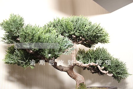 逾期后收到个人短信 逾期后收到个人短信