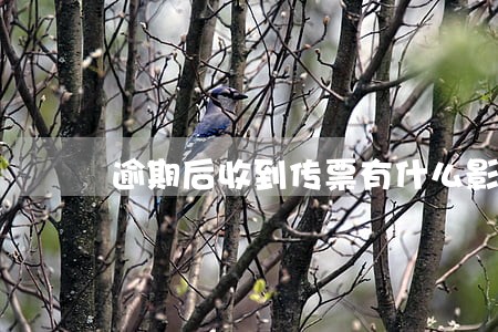 逾期后收到传票有什么影响