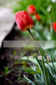 逾期后收到信息上门 逾期后收到信息上门
