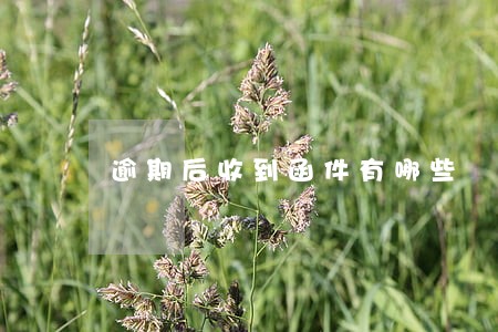 逾期后收到函件有哪些 逾期后收到函件有哪些