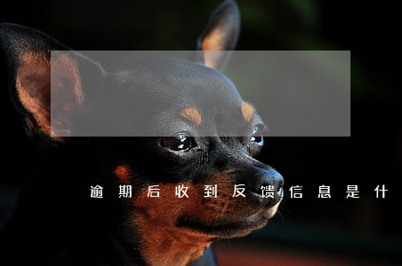 逾期后收到反馈信息是什么意思 逾期后收到反馈信息是什么意思