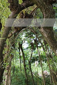 逾期后收到各种验证码 逾期后收到各种验证码