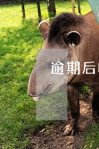 逾期后收到天平链侧链发来短信 逾期后收到天平链侧链发来短信