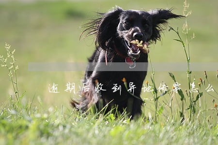 逾期后收到异地传票怎么办 逾期后收到异地传票怎么办