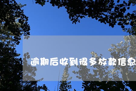 逾期后收到很多放款信息 逾期后收到很多放款信息