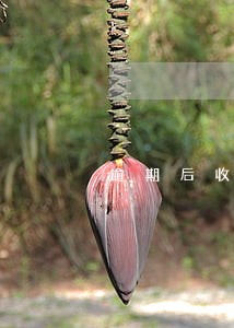 逾期后收到执行通告短信 逾期后收到执行通告短信