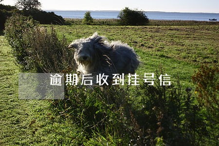 逾期后收到挂号信 逾期后收到挂号信
